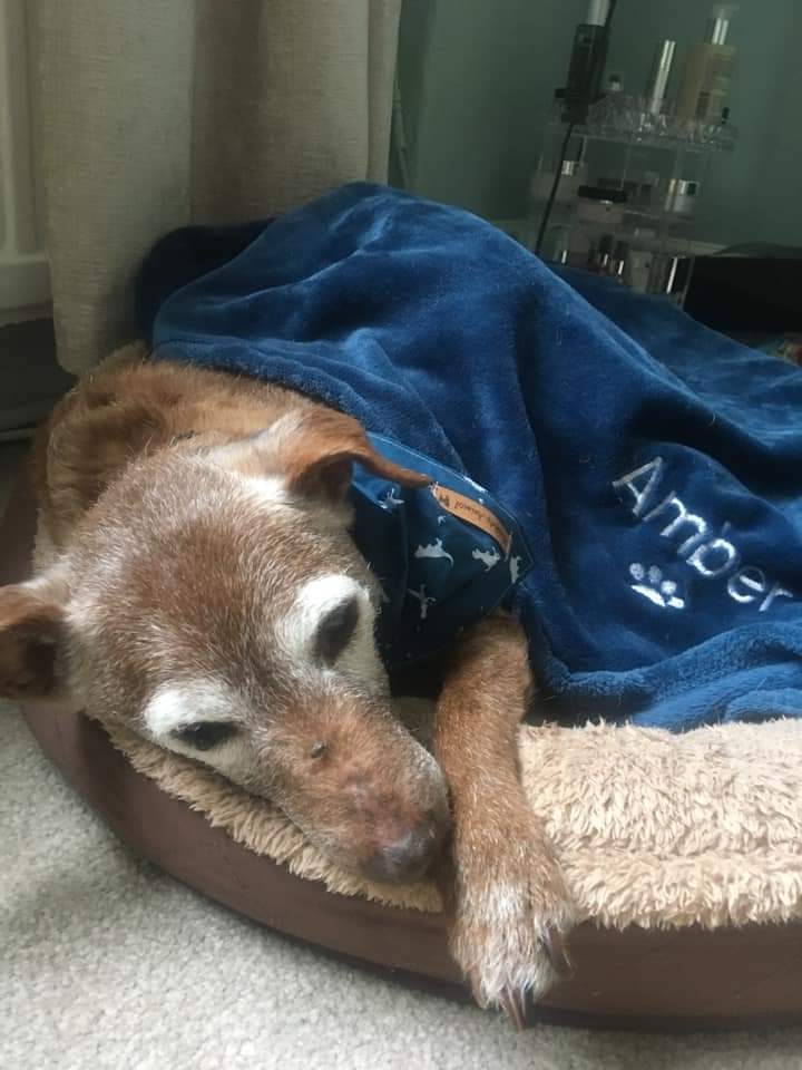 Personalised Blankets
