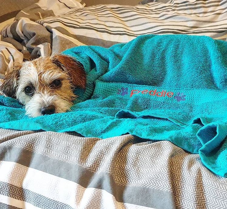 Drying Towel