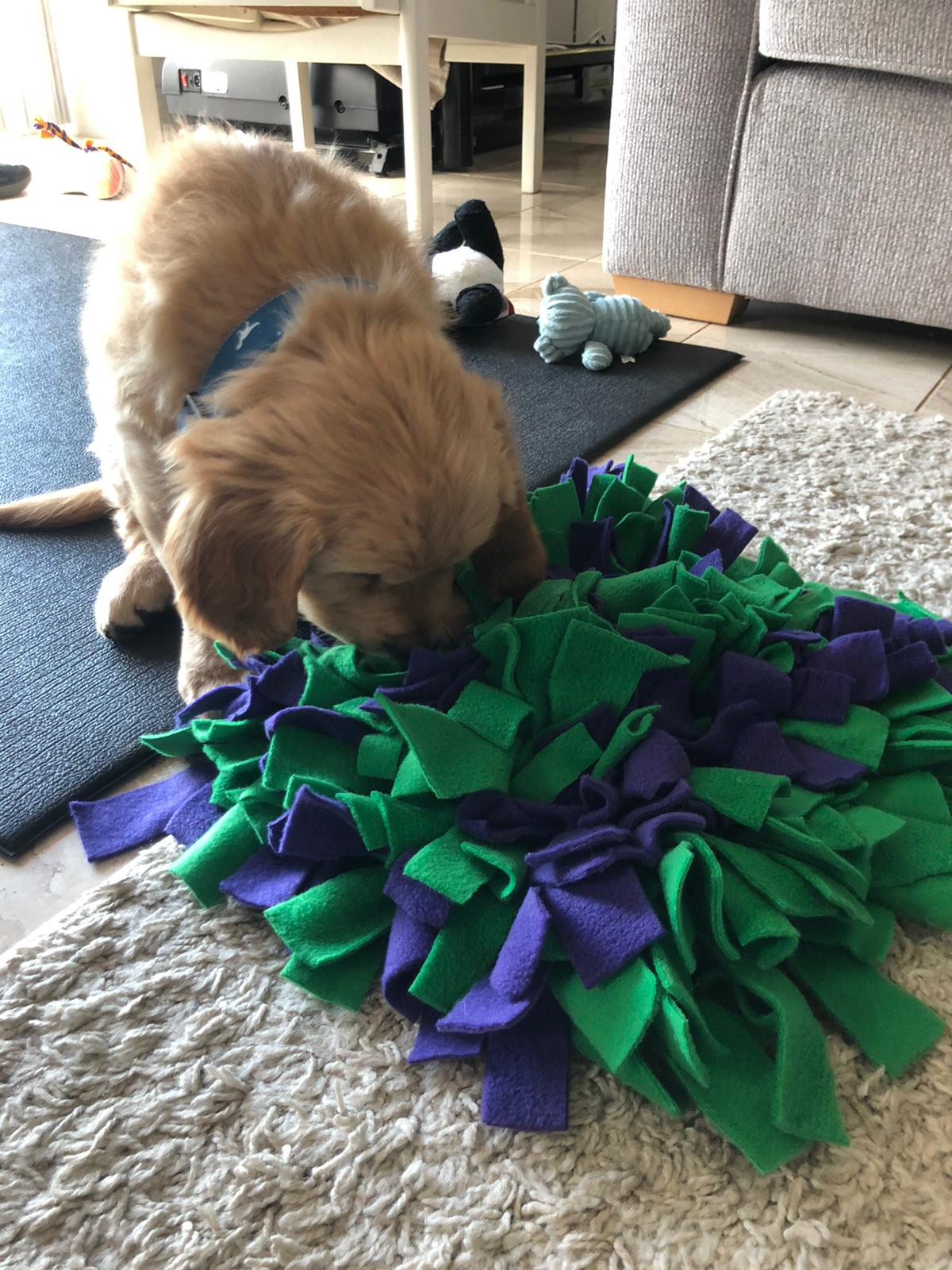 Snuffle Mat