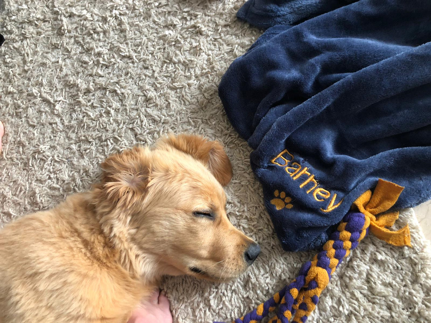 Personalised Blankets