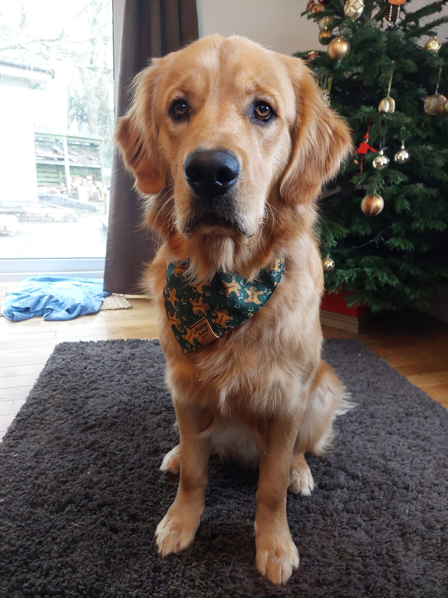 Christmas Bandana - Gingerbread