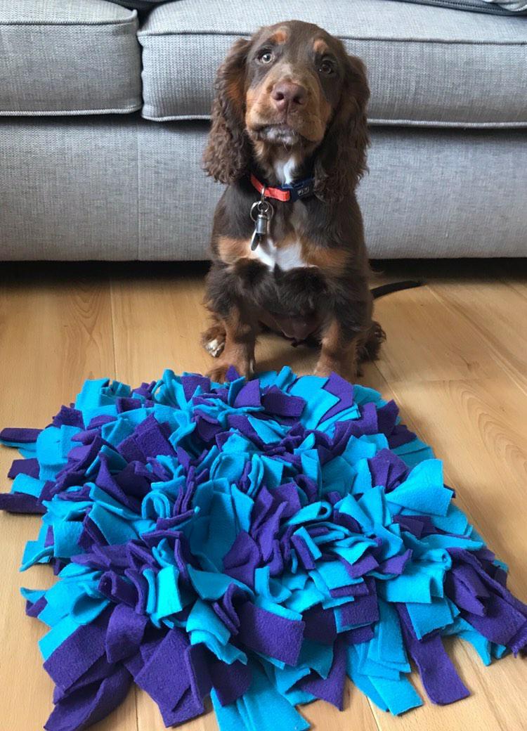 Snuffle Mat