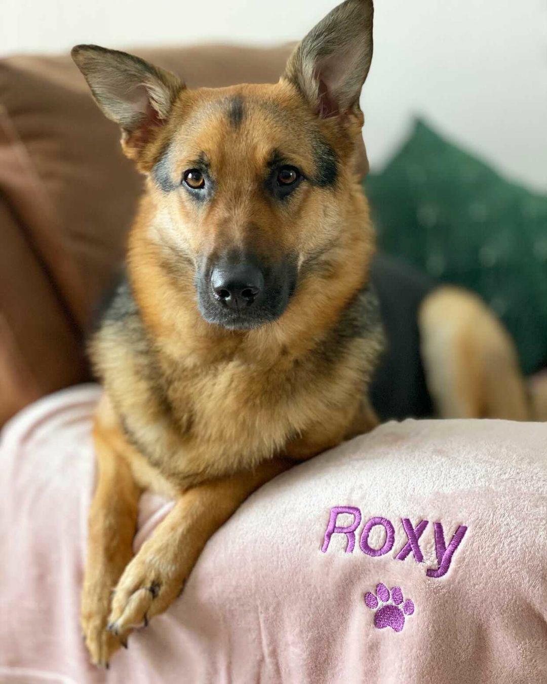 Personalised Blankets