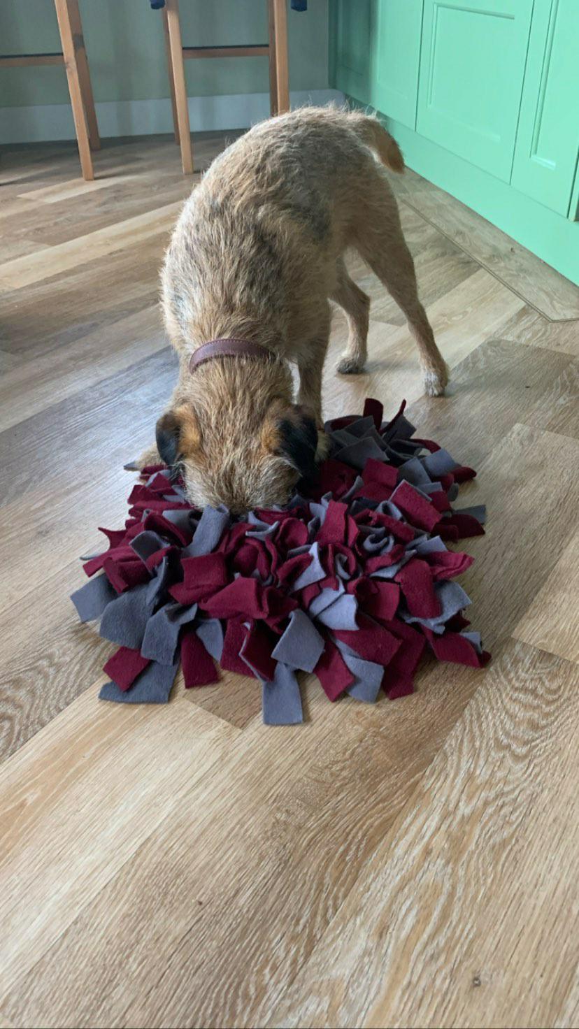Snuffle Mat