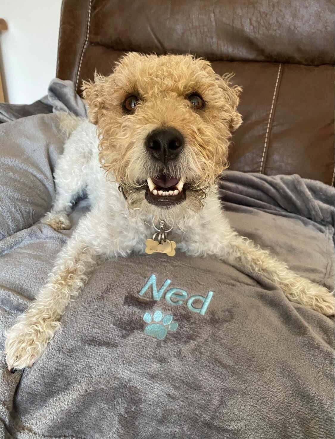 Personalised Blankets