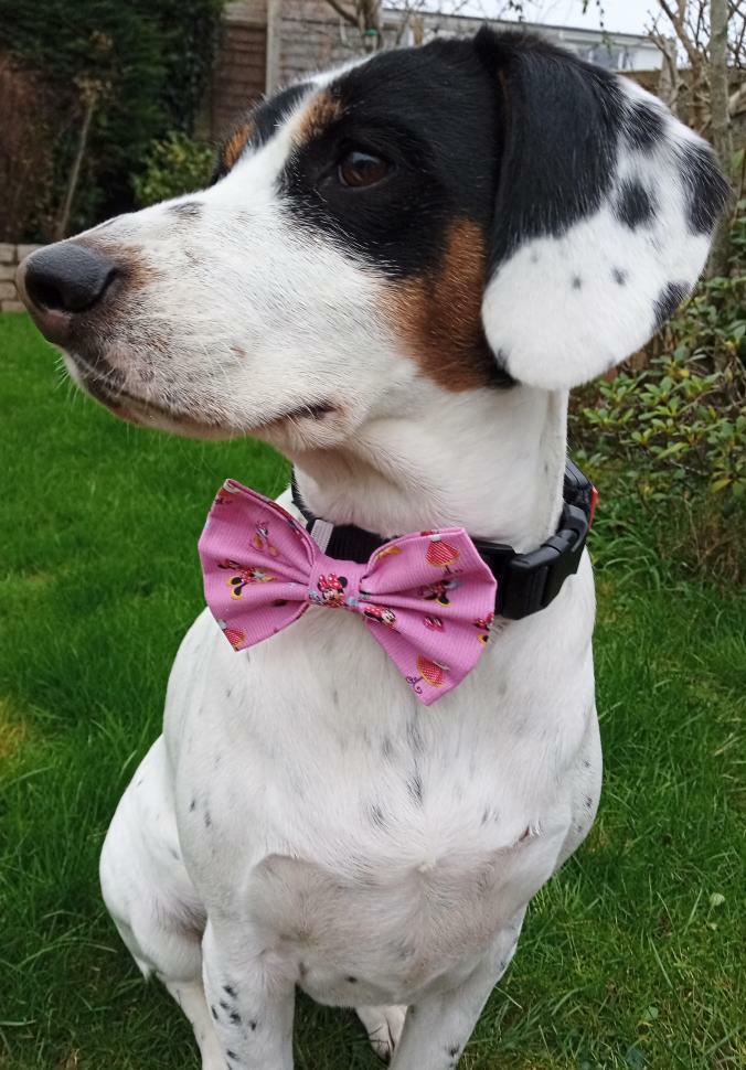 Bow Tie - Minnie Mouse 'Shopping'