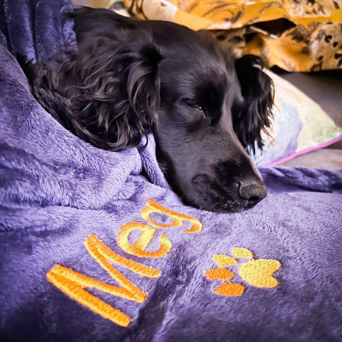 Personalised Blankets