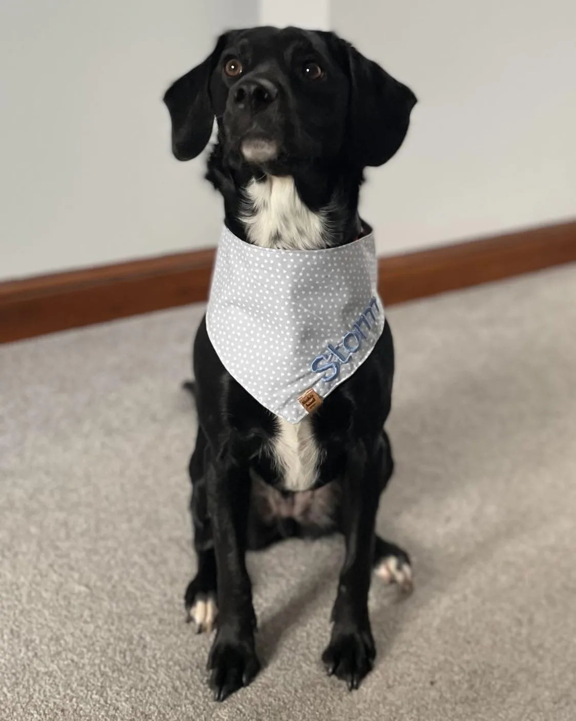 Bandana - Ditsy Hearts