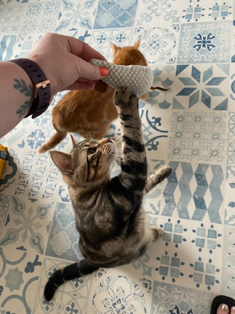 Cat Nip Mouse