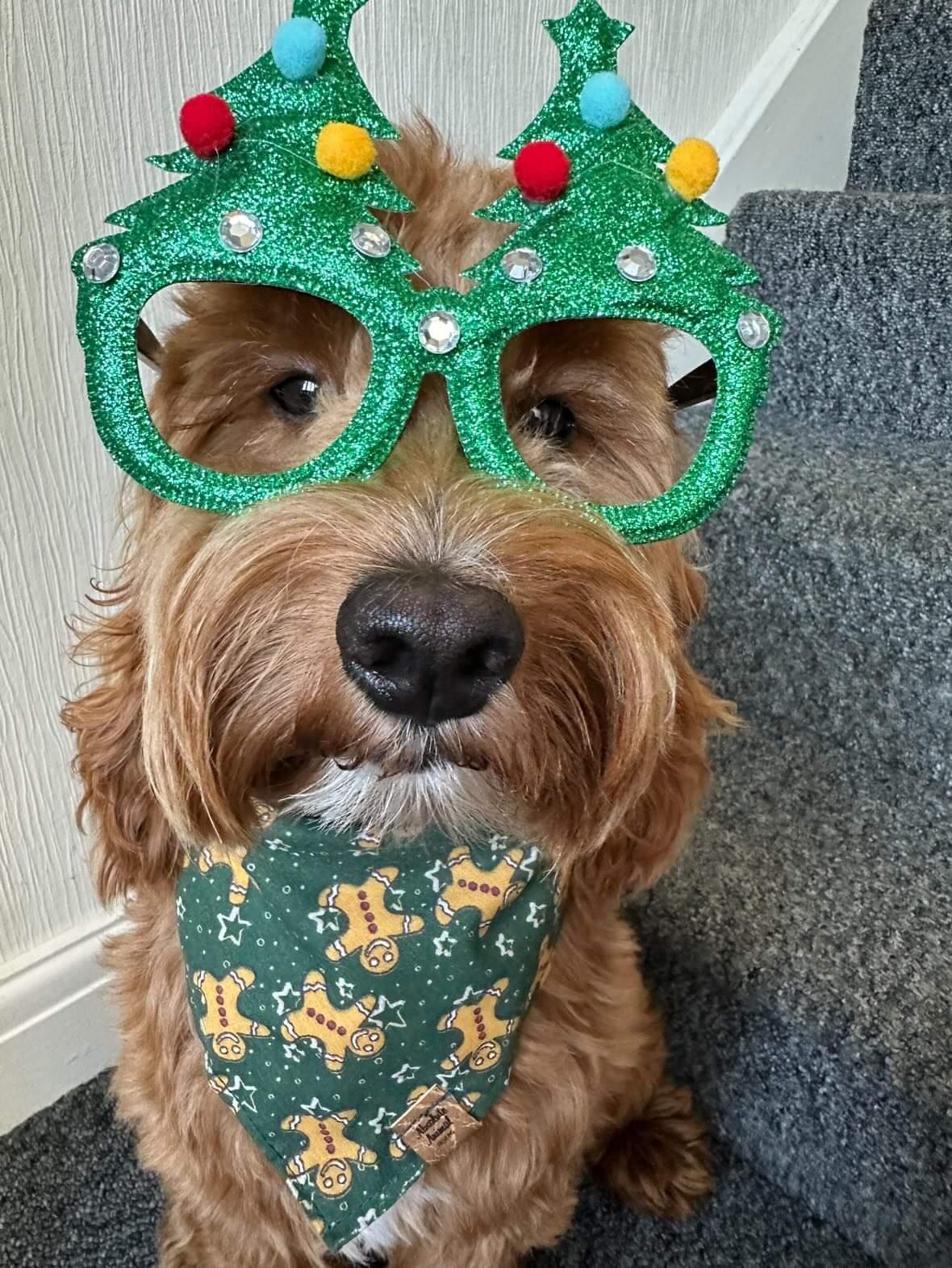 Christmas Bandana - Gingerbread