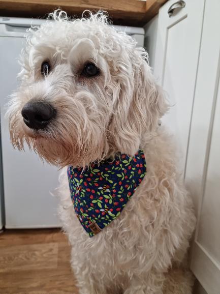 Bandana - Bee-tastic