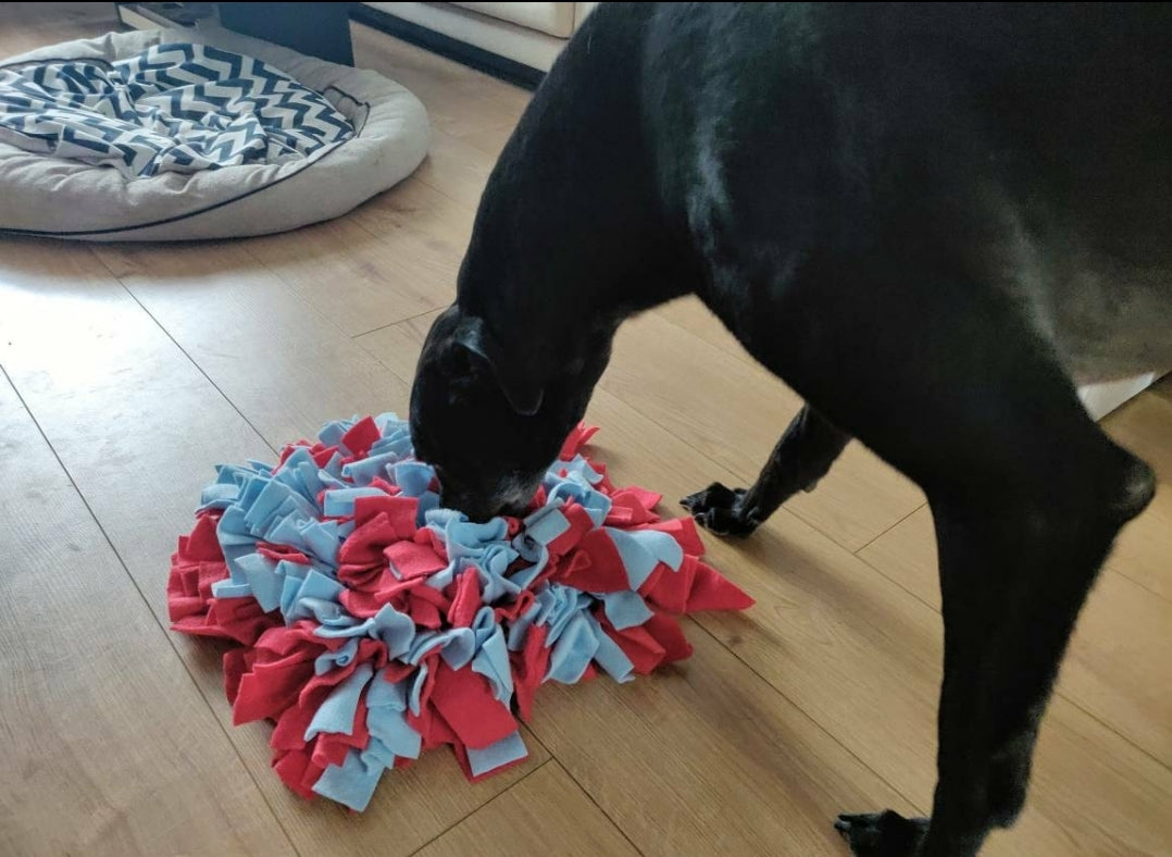 Snuffle Mat