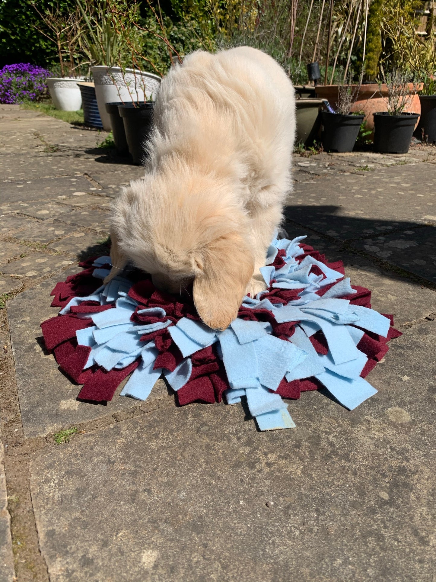 Snuffle Mat