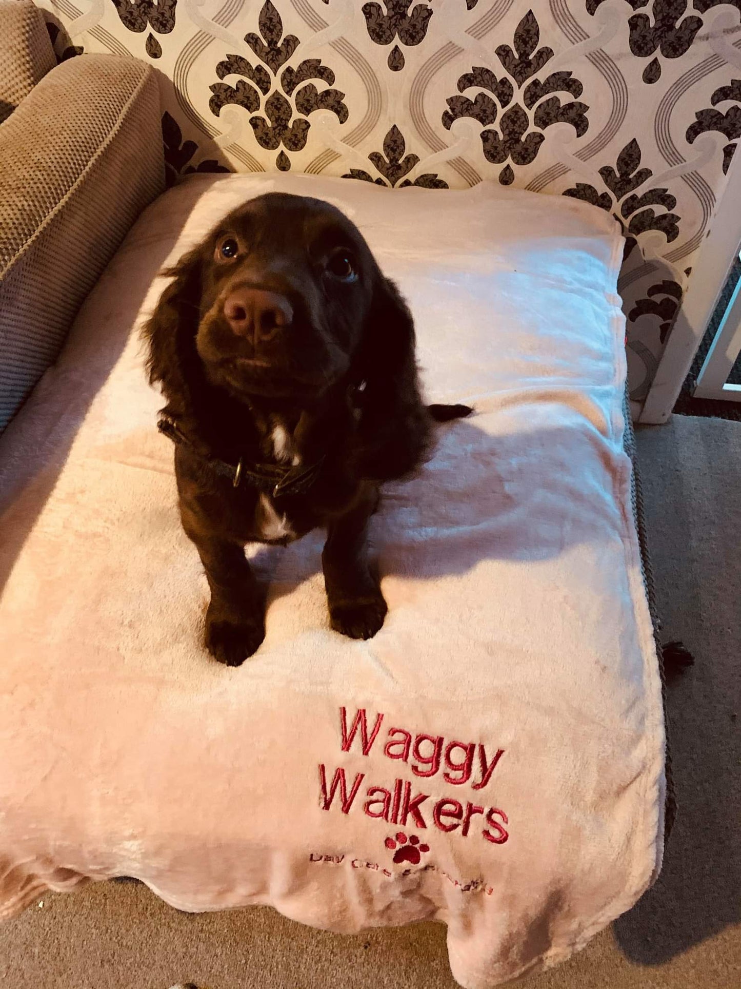 Personalised Blankets