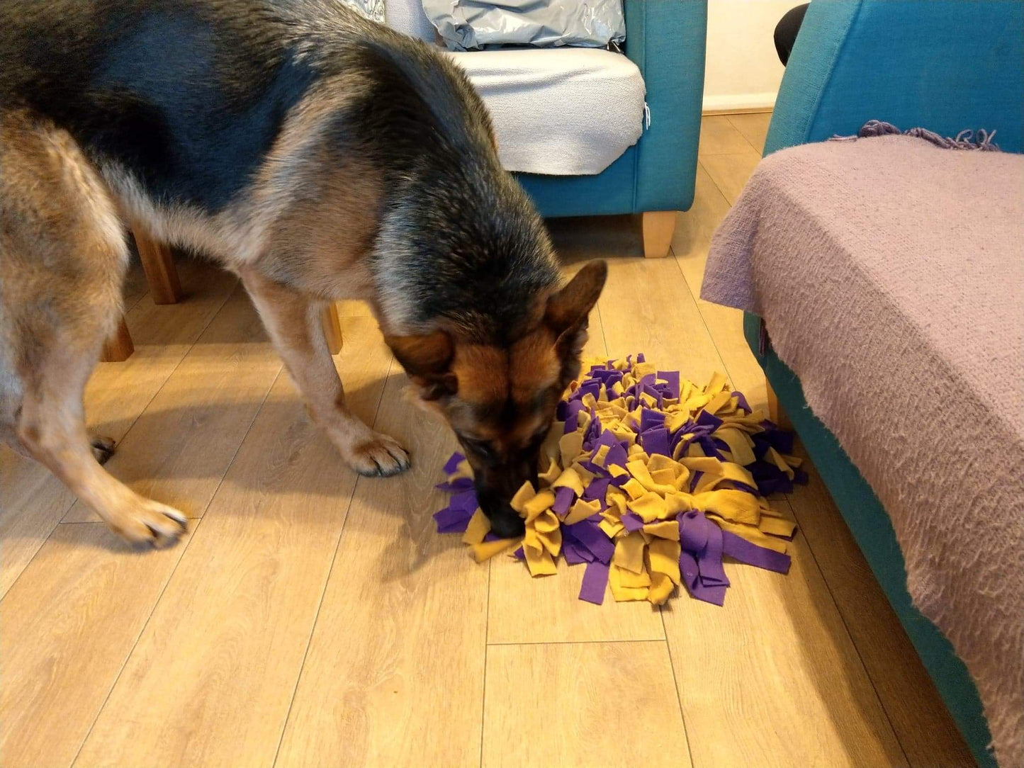 Snuffle Mat