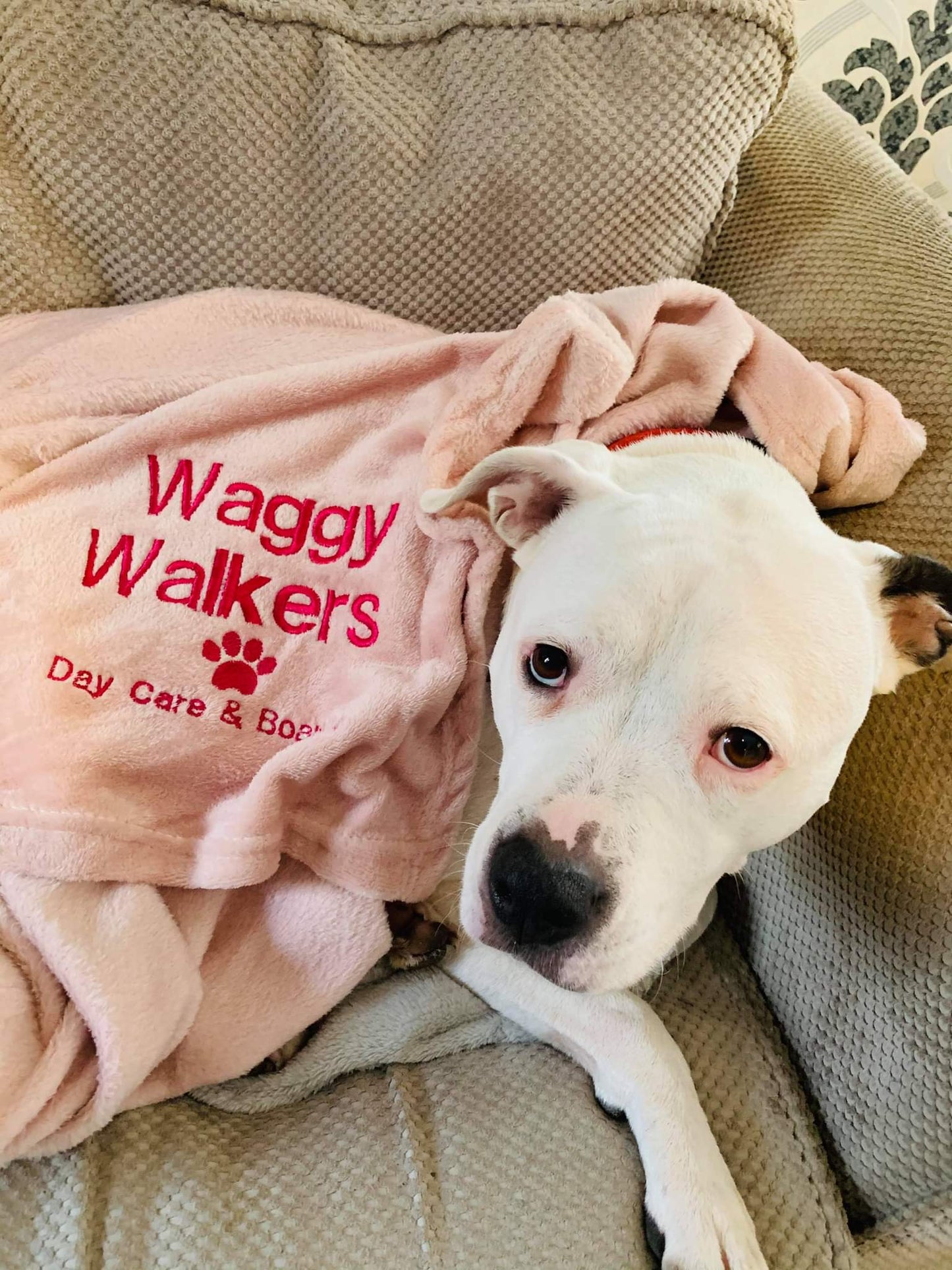 Personalised Blankets
