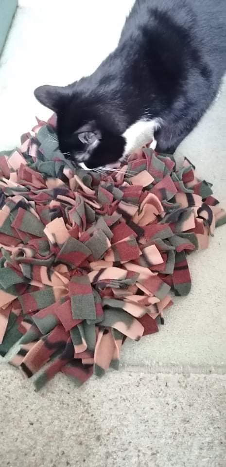 Snuffle Mat