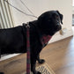 Lead - Berry Green Tartan