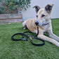 Adjustable Waterproof Lead - Black Biothane®