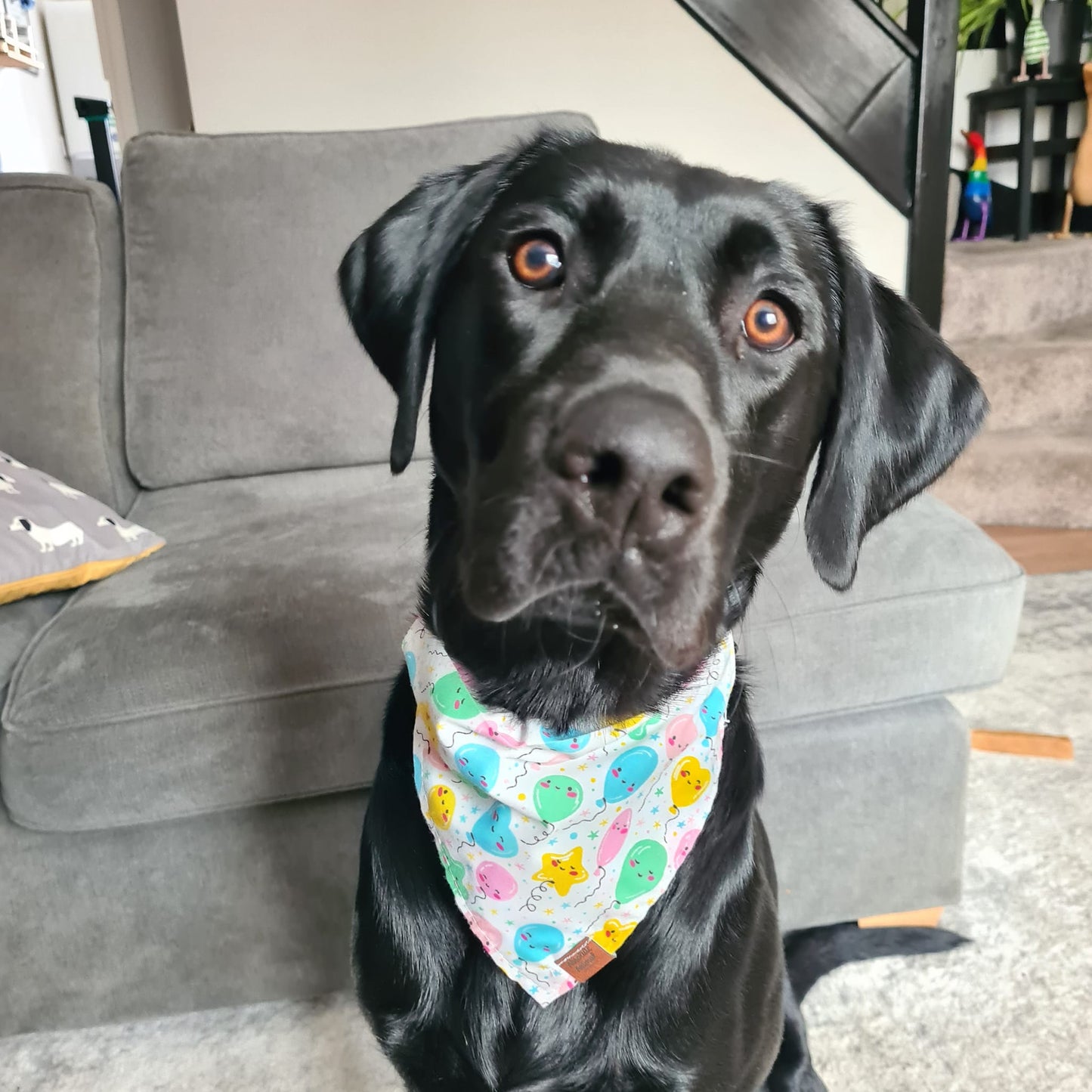 Bandana - Birthday Balloons