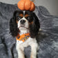 Halloween Bandana - Ghostbusters