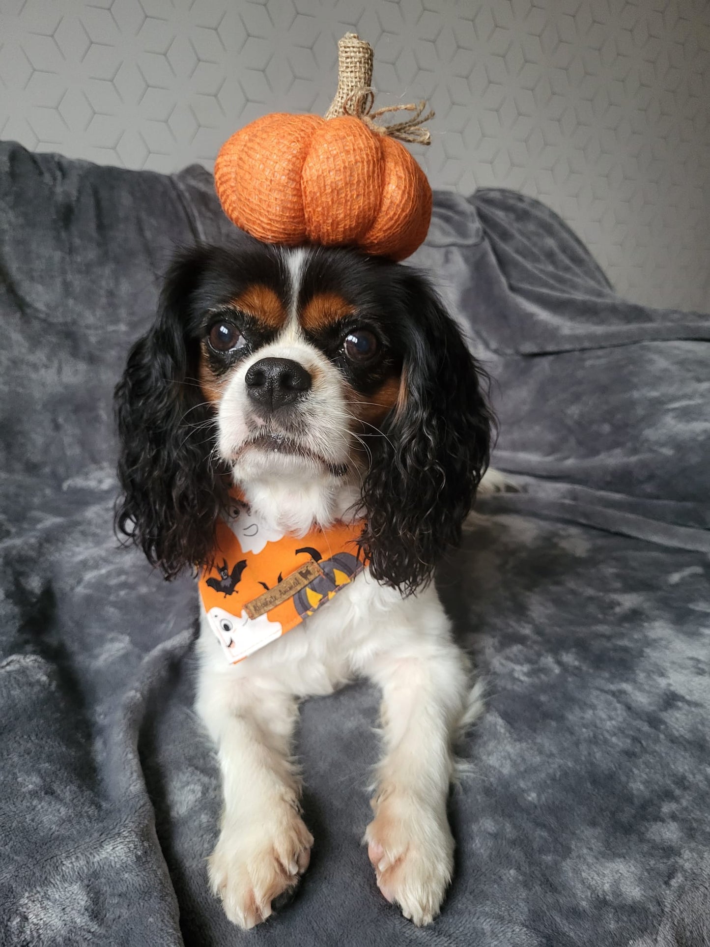 Halloween Bandana - Ghostbusters