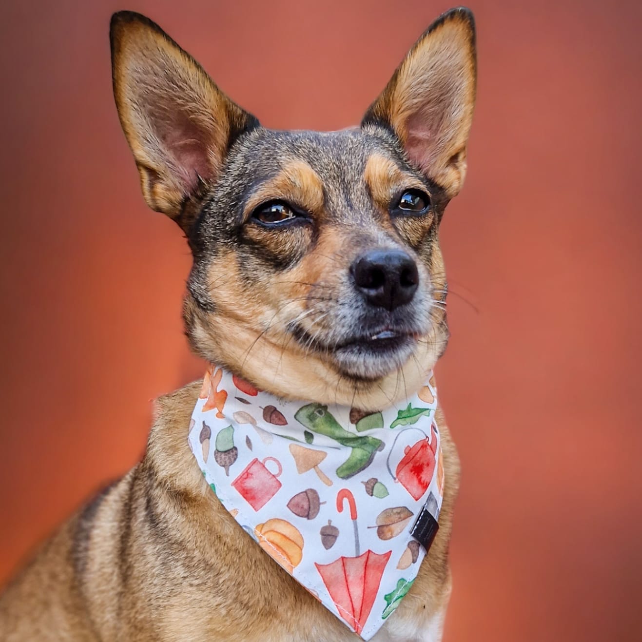 Bandana - Welly Walks