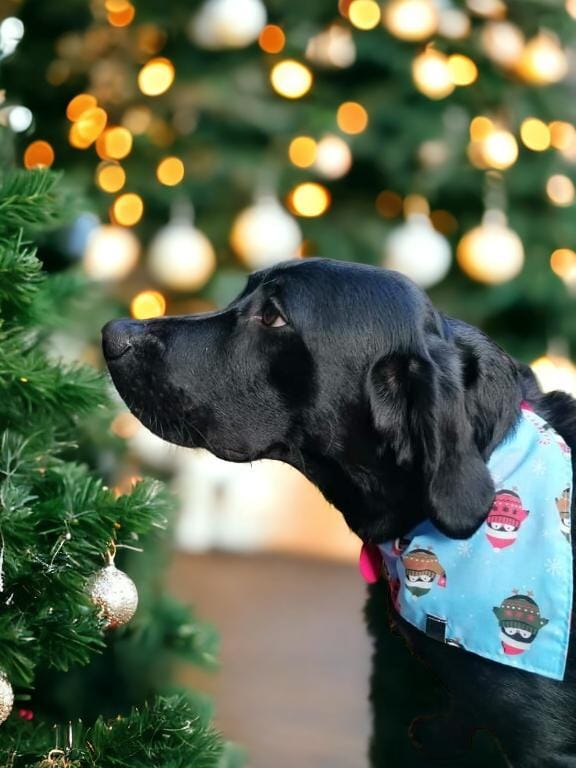 Christmas Bandana - Penguin