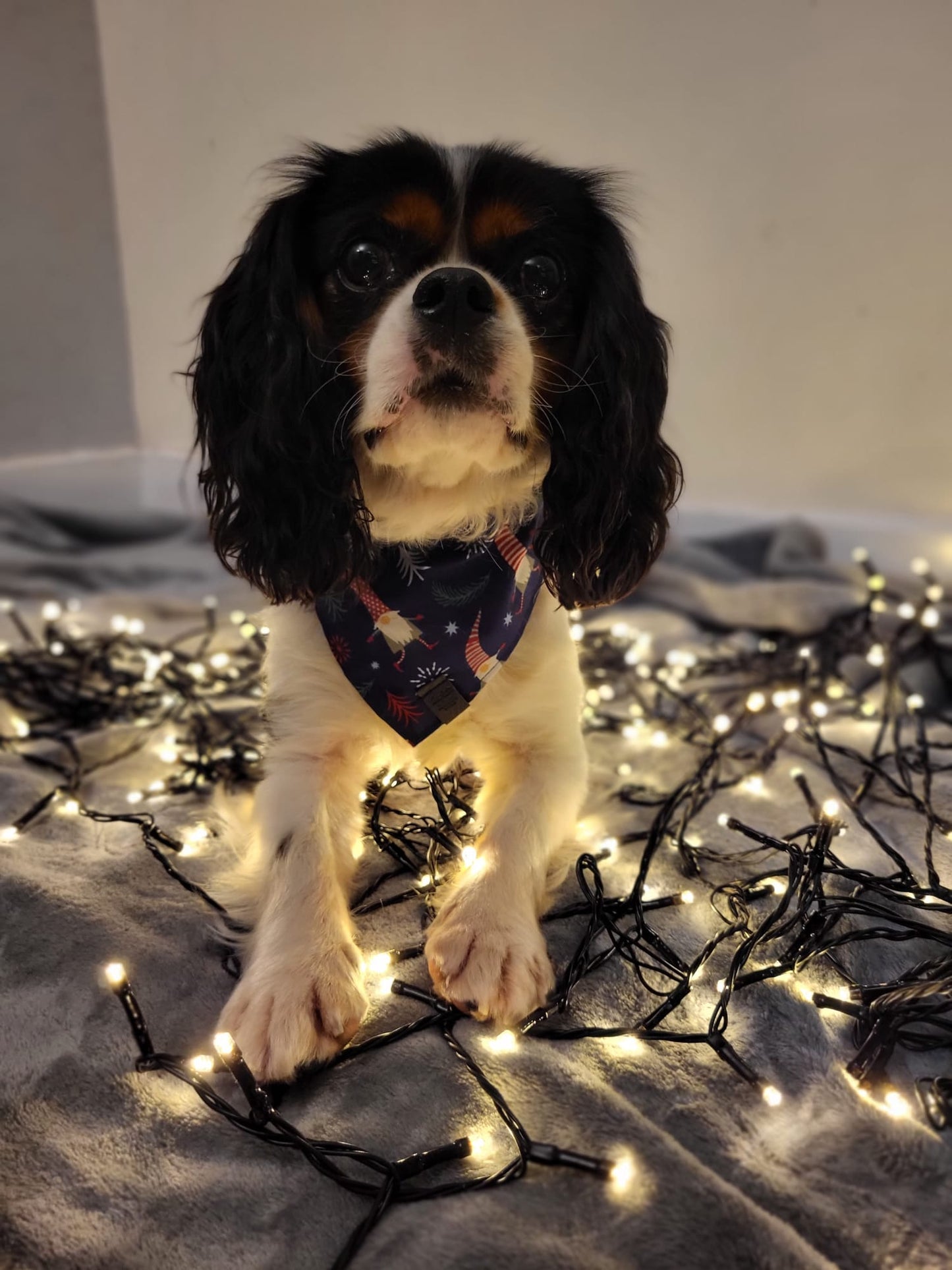 Christmas Bandana - Gonks