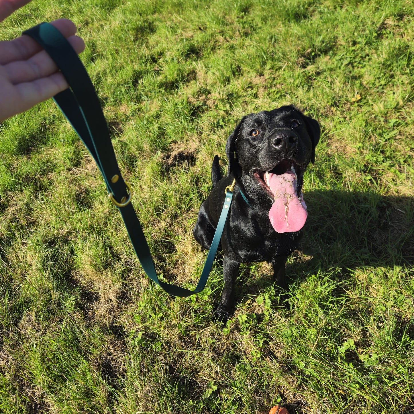 Waterproof Collar - Dark Green