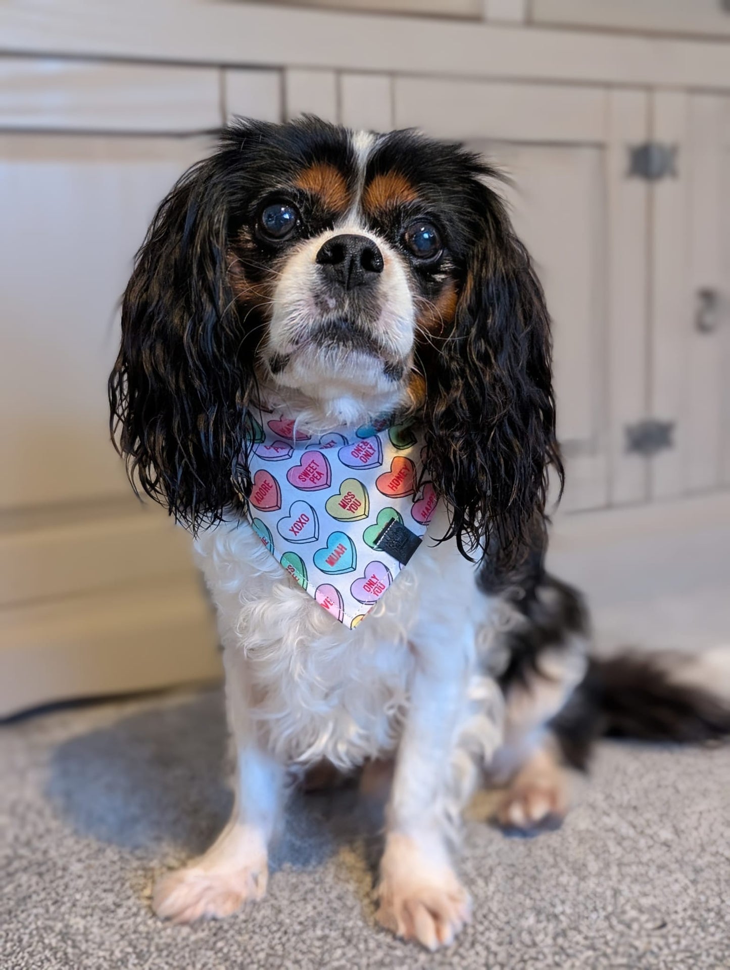Bandana - Sweet Love Hearts