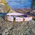 Waterproof Collar - Lilac Biothane®