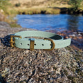 Waterproof Collar - Sage Biothane®