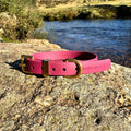 Waterproof Collar - Wine Biothane®