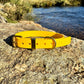 Waterproof Collar - Yellow Biothane®