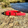 Waterproof Collar - Red Biothane®