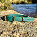 Waterproof Collar - Green Biothane®