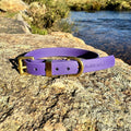 Waterproof Collar - Violet Biothane®