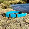 Waterproof Collar - Lagoon Biothane®