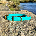 Waterproof Collar - Teal Biothane®