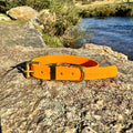 Waterproof Collar - Orange Biothane®