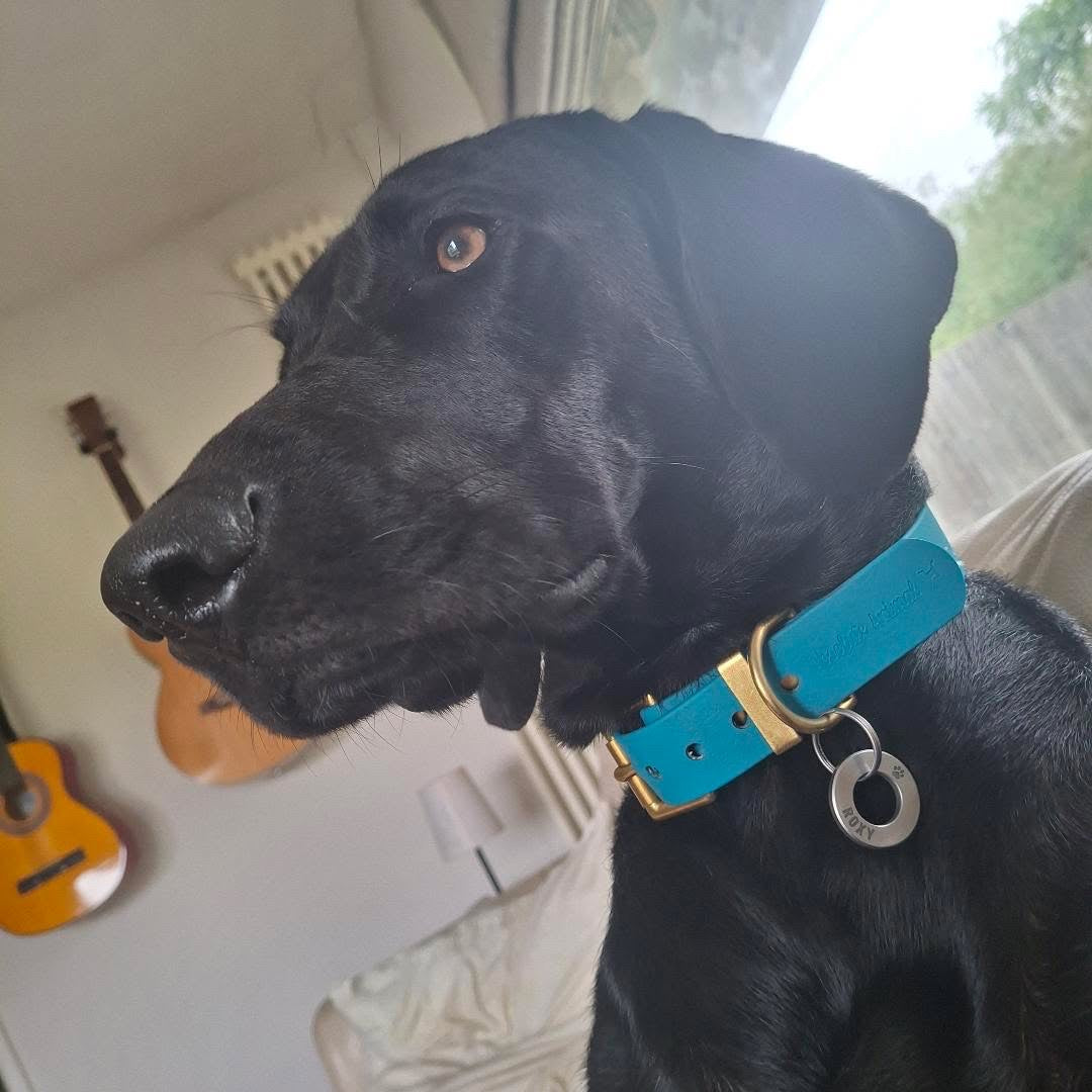 Waterproof Collar - Lagoon Biothane®