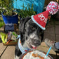 Birthday Hats - Personalised