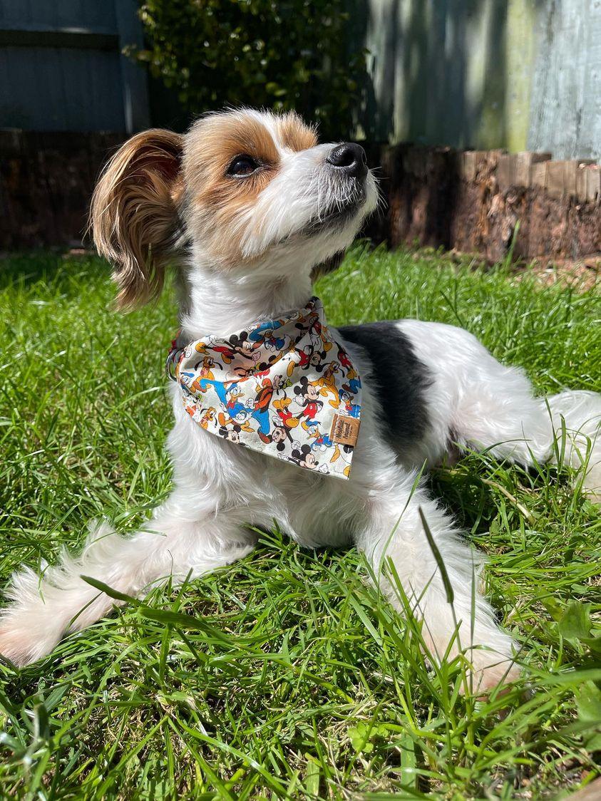 Disney hotsell dog bandana