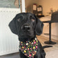 Black dog wearing a floral bandana indoors