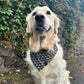 Halloween Bandana - Boo