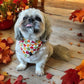 Bandana - Pumpkin Pickin'