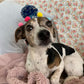Birthday Hats - Personalised