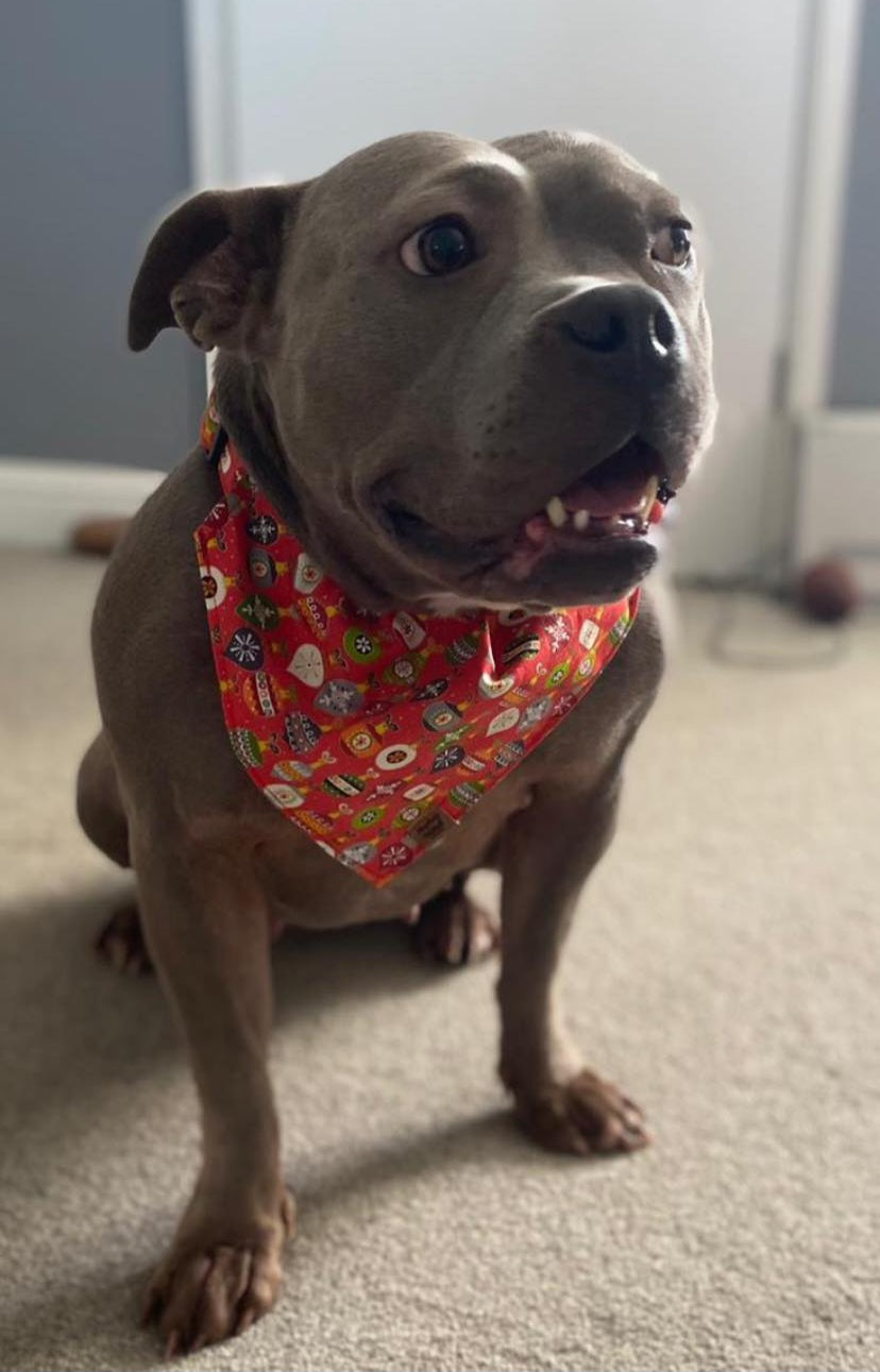 Christmas Bandana - Baubles