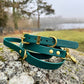 Waterproof Lead - Green Biothane®